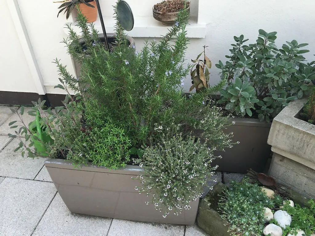 Mangolds Boutique Hotel & Fruehstuecksmeisterei 슈바인푸르트